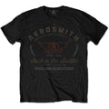 Aerosmith Back in the Saddle Black