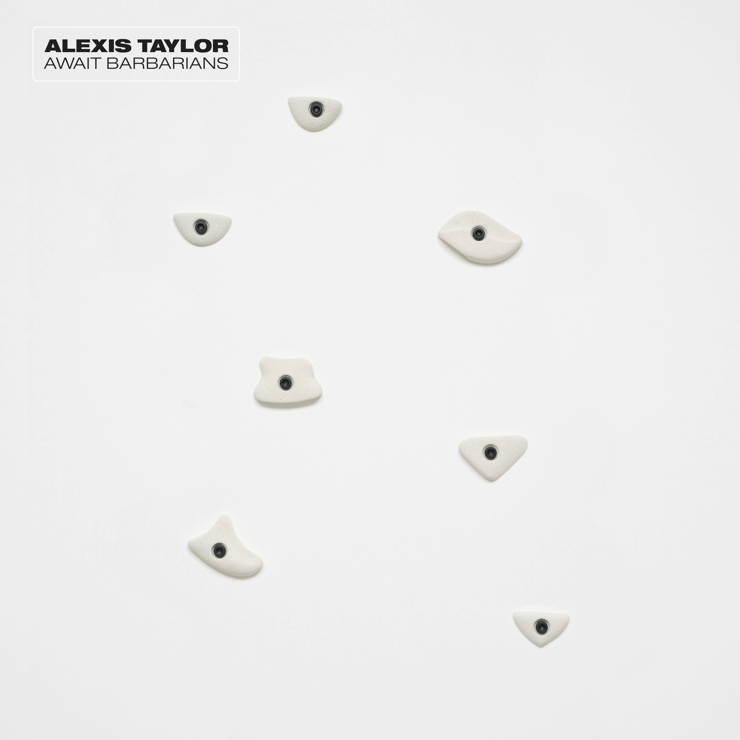 Alexis Taylor Await Barbarians