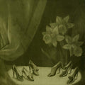Alice Cohen Into the Grey Salons