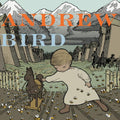 Andrew Bird The Crown Salesman / So Much Wine