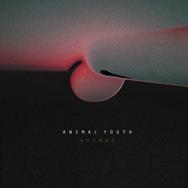ANIMAL YOUTH Animal