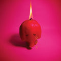 Arcade Fire Pink Elephant (Gatefold Jacket) (64 page booklet)