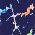ASTRAL SOCIAL CLUB/GLOCKENSPIEL Split