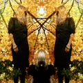 Austra Feel It Break