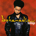 BAHAMADIA Kollage