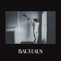 Bauhaus In The Flat Field (Remastered)