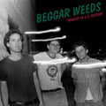Beggar Weeds Tragedy In U.S. History