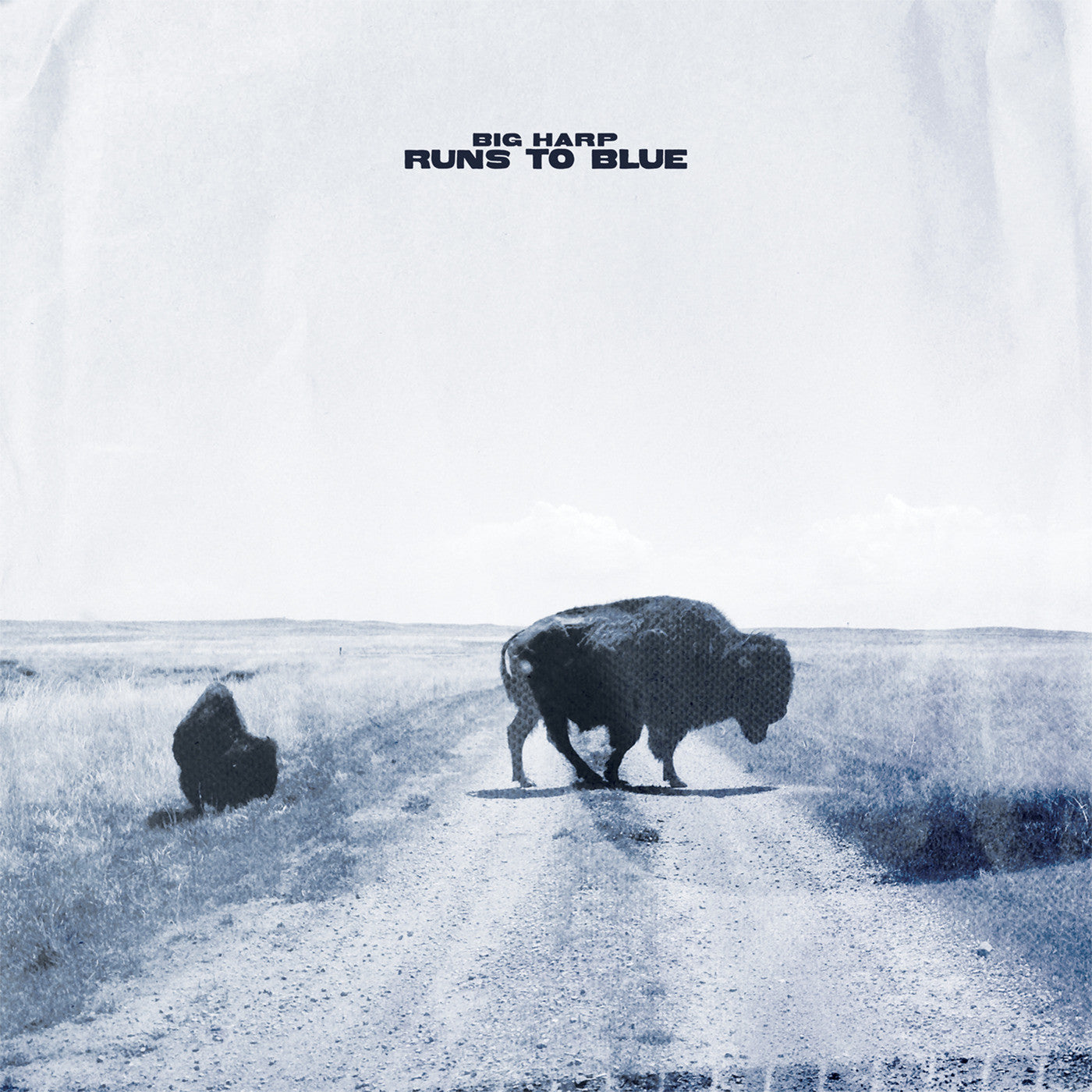 Big Harp Runs To Blue