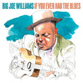 BIG JOE WILLIAMS If You Ever Had The Blues