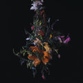 BIG|BRAVE nature morte