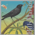 Billy Martin Starlings
