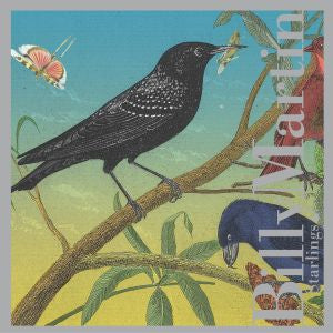 Billy Martin Starlings