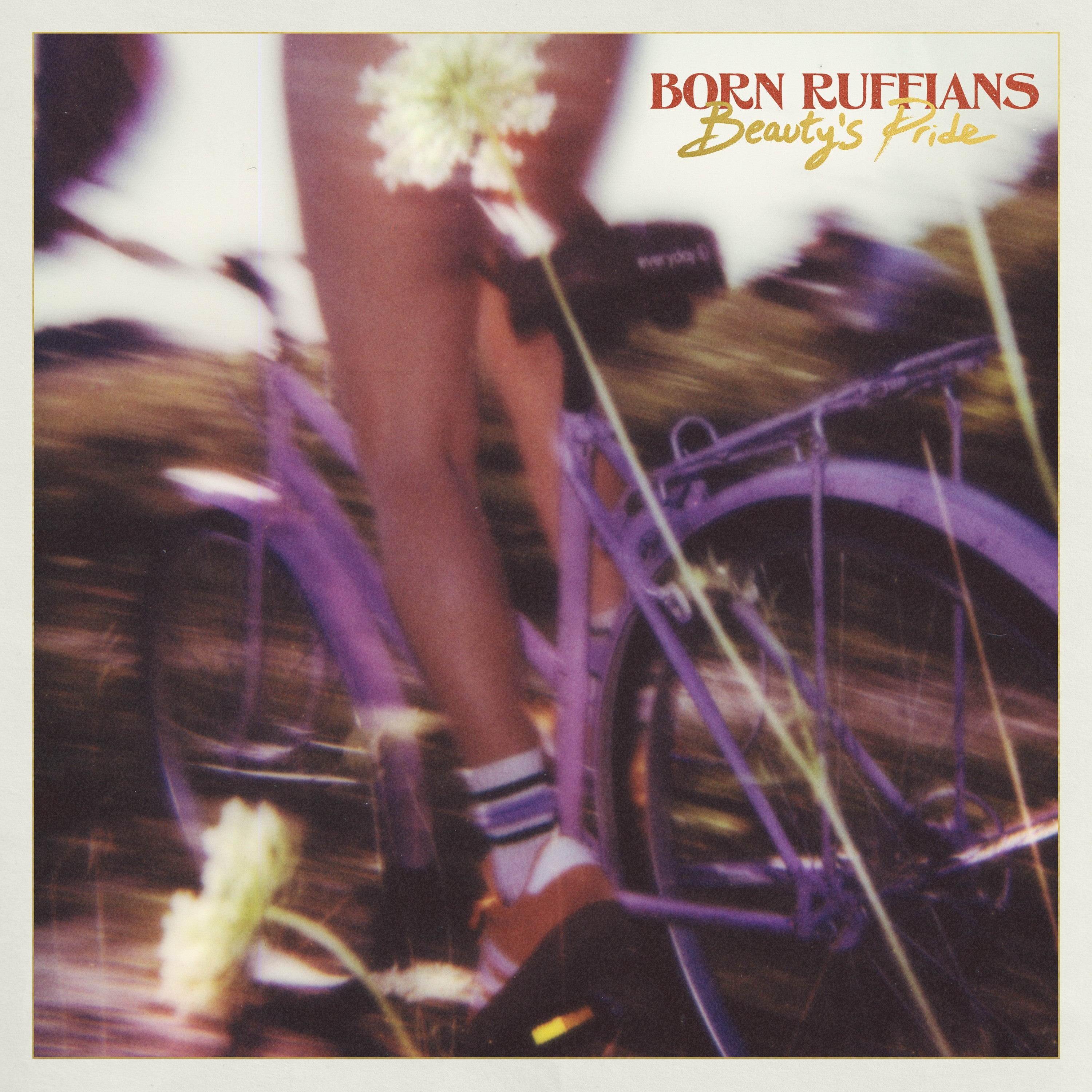 Born Ruffians Beauty'S Pride