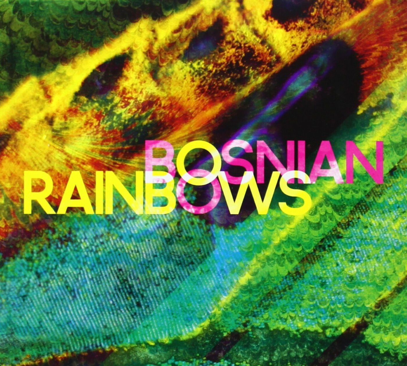 Bosnian Rainbows Bosnian Rainbows