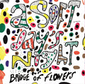 Bridge Of Flowers A Soft Day'S Night