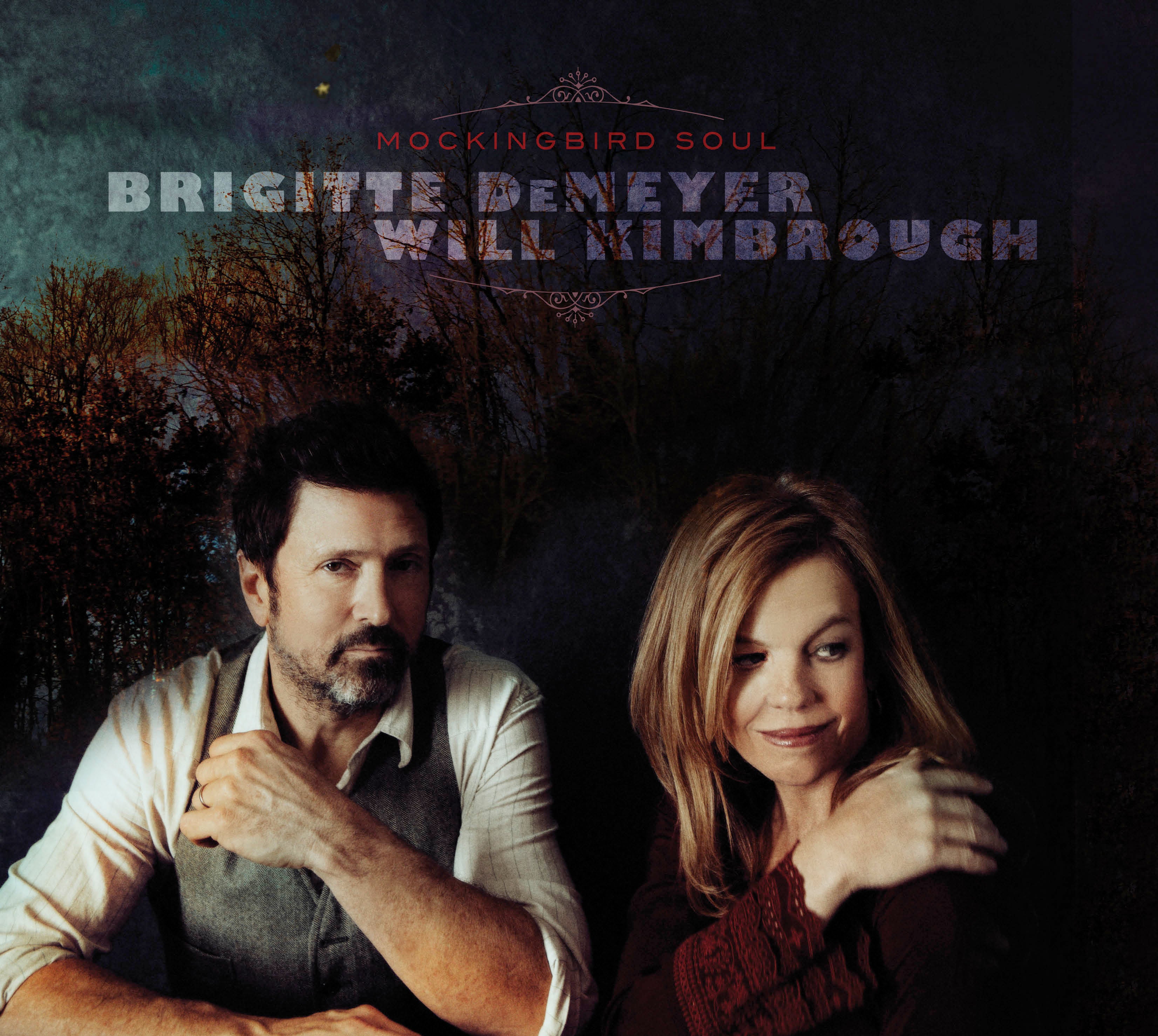 Brigitte DeMeyer Mockingbird Soul