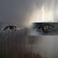 CATERINA BARBIERI Ecstatic Computation