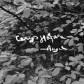 Cerys Hafana Angel [Lp]