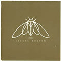 Cicada Rhythm Cicada Rhythm