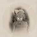 Current 93 The Light Is Leaving Us All (Picture Disc)