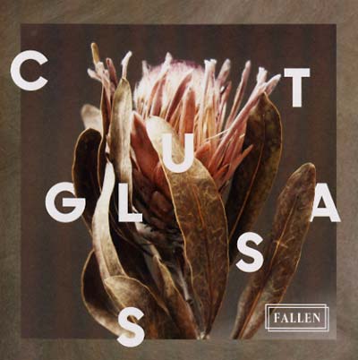 CUT GLASS Fallen