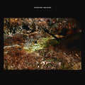 Daniel Norgren The Green Stone