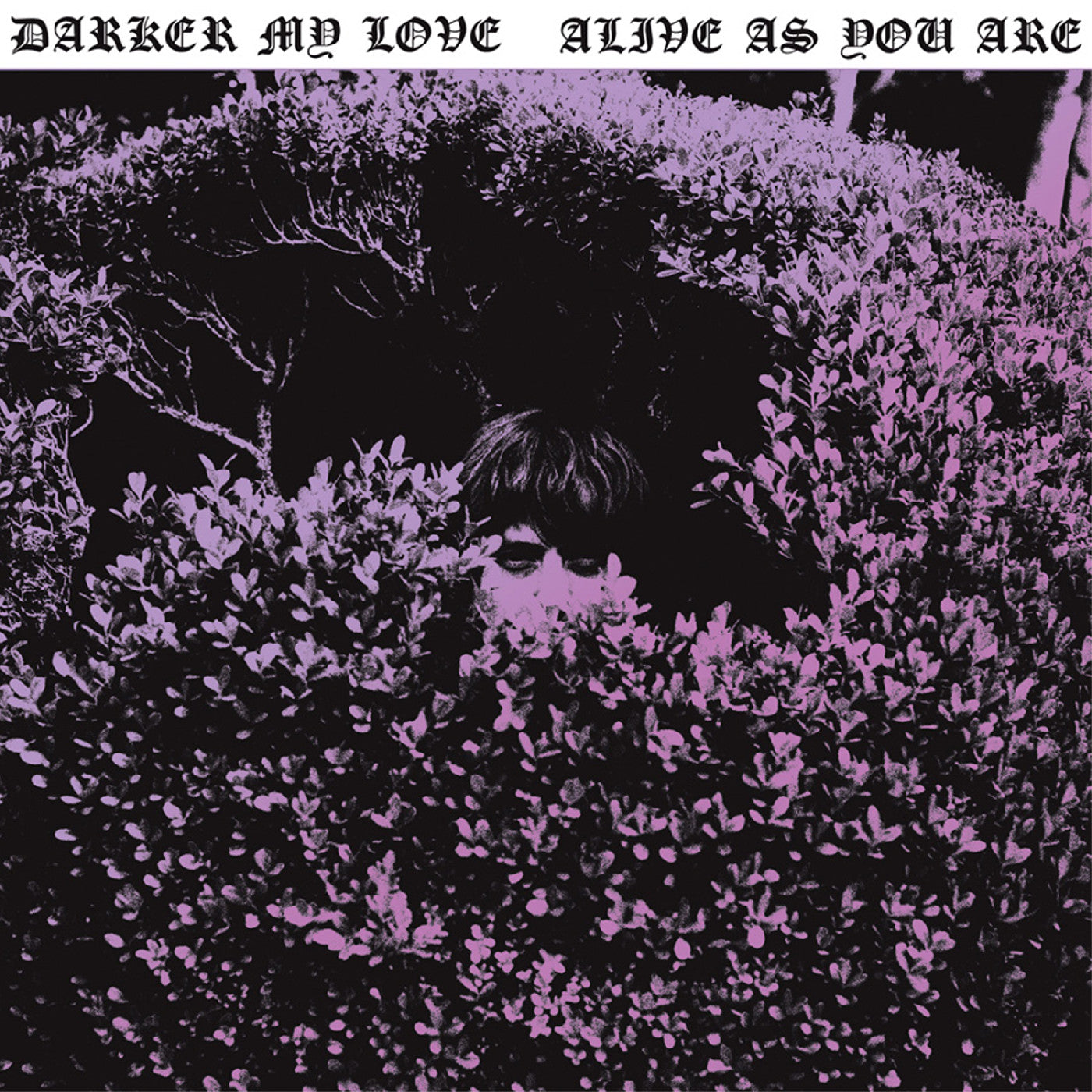 Darker My Love Alive As You Are
