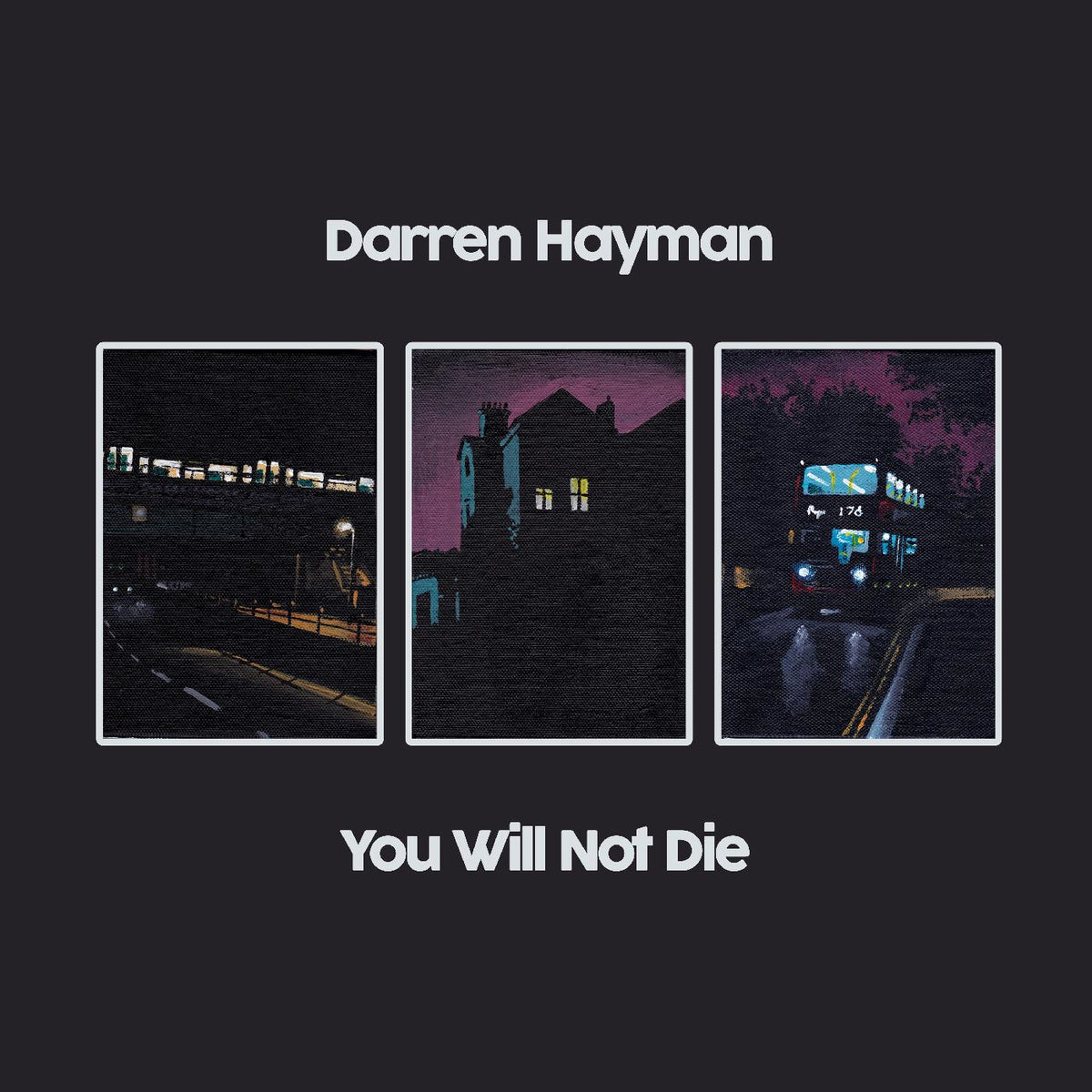 Darren Hayman You Will Not Die