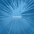 DAVE SEIDEL Involution