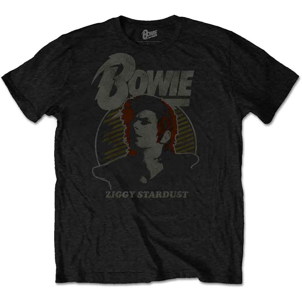 David Bowie Vintage Ziggy Black