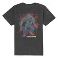 DC Comics King Shark Grey