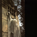 Dead Can Dance Within The Realm Of The Dying Sun