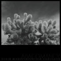 Derek Monypeny And Kevin Corcoran Abacomancy [LP]