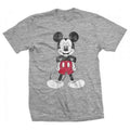Disney Mickey Mouse Pose Grey