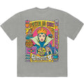 Disney Snow White Evil Queen Rotten To The Core Grey