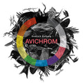 Dominik Eulberg Avichrom