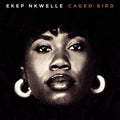 Ekep Nkwelle Caged Bird