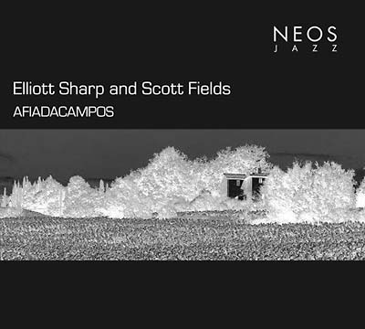 ELLIOTT SHARP & SCOTT FIELDS Afiadacampos