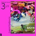 Eugene Chadbourne Solo Guitar Volume 3-1/3