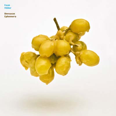 EVAN MILLER Beeswax Ephemera