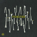 FENSTER Bones