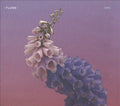 Flume SKIN