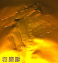 FM3 HeXieFu