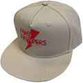 Foo Fighters Flash Logo Neutral