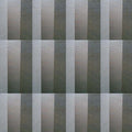 FRANCISCO LOPEZ Untitled #274
