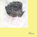 GAUTE GRANLI Rosacea [LP]