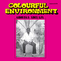 GBOYEGA ADELAJA Colourful Environment