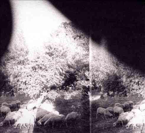 Godspeed You Black Emperor Asunder Sweet & Other Distress (180 Gram Vinyl, Digital Download Card)