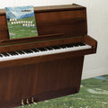 Grandaddy The Sophtware Slump ..... On A Wooden Piano (Eco Mix Citrus Yellow Vinyl)
