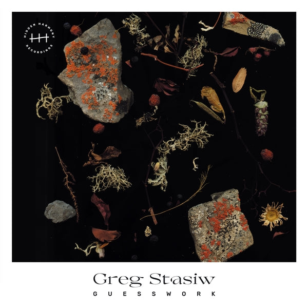 Greg Stasiw Guesswork [LP]